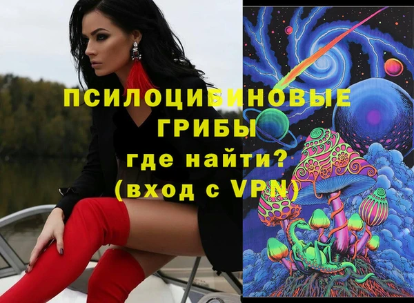МДПВ Алзамай