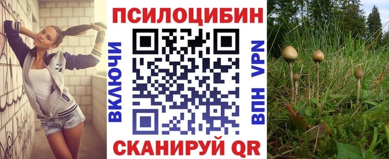Галлюциногенные грибы мухоморы  Черноголовка 