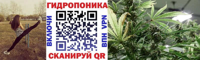 Конопля OG Kush  ссылка на мегу как войти  Черноголовка 